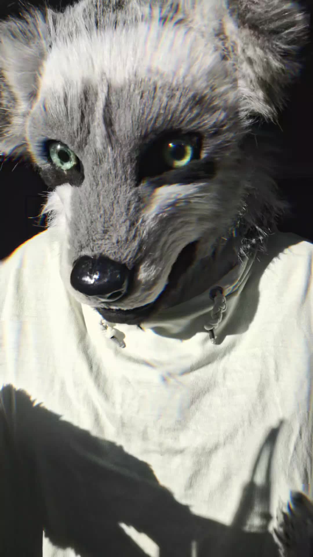 @ℂ/𝕃 🌟