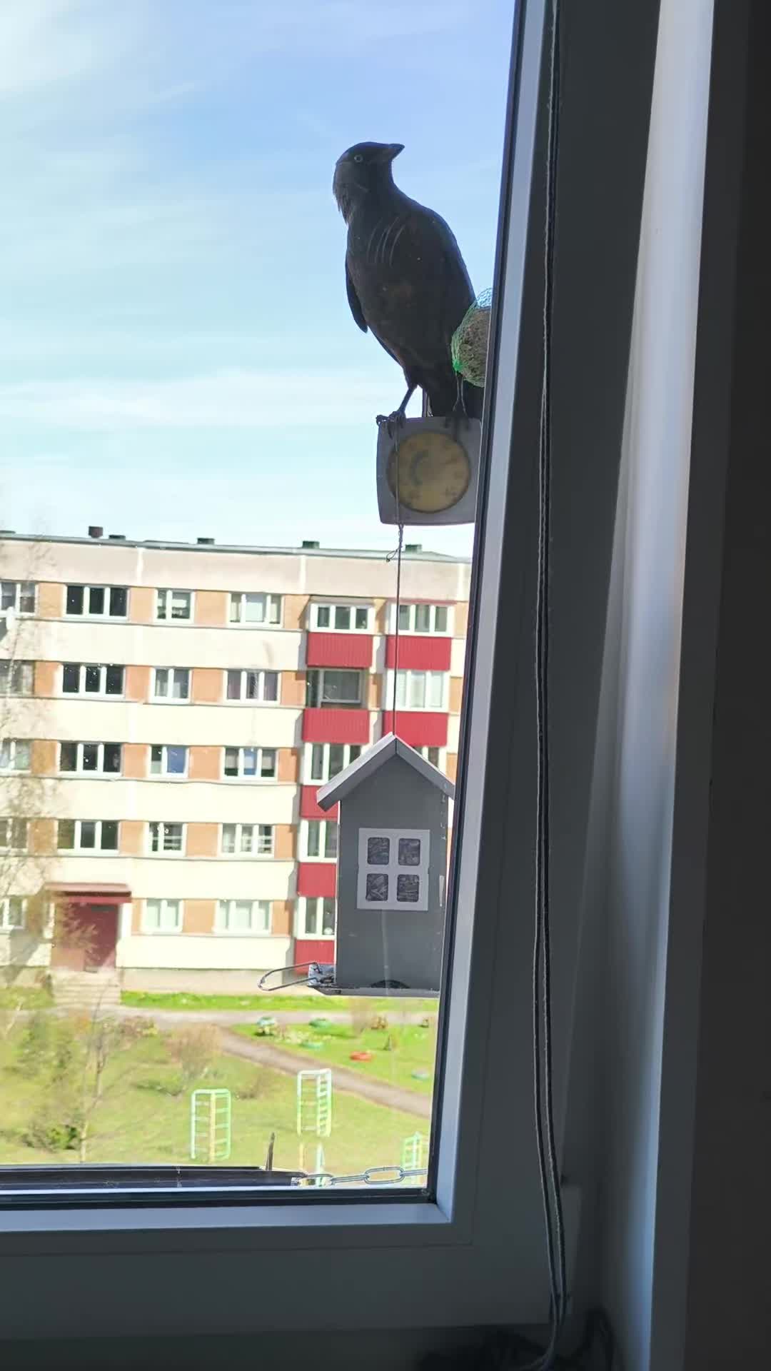@&bull;Фёкла́&bull;𝓕ё𝓀𝓁𝒶
