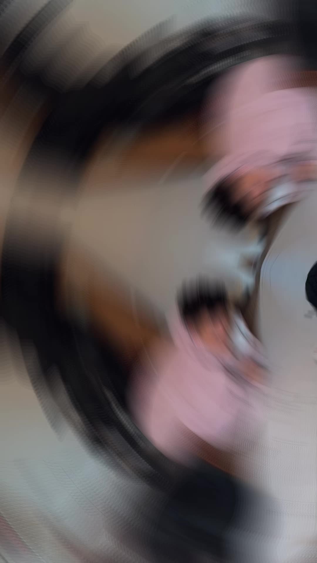 @🤍🫶🏻 𝓚𝓪𝔂𝓮𝓡𝓸𝓼𝓮 🫶🏻🤍