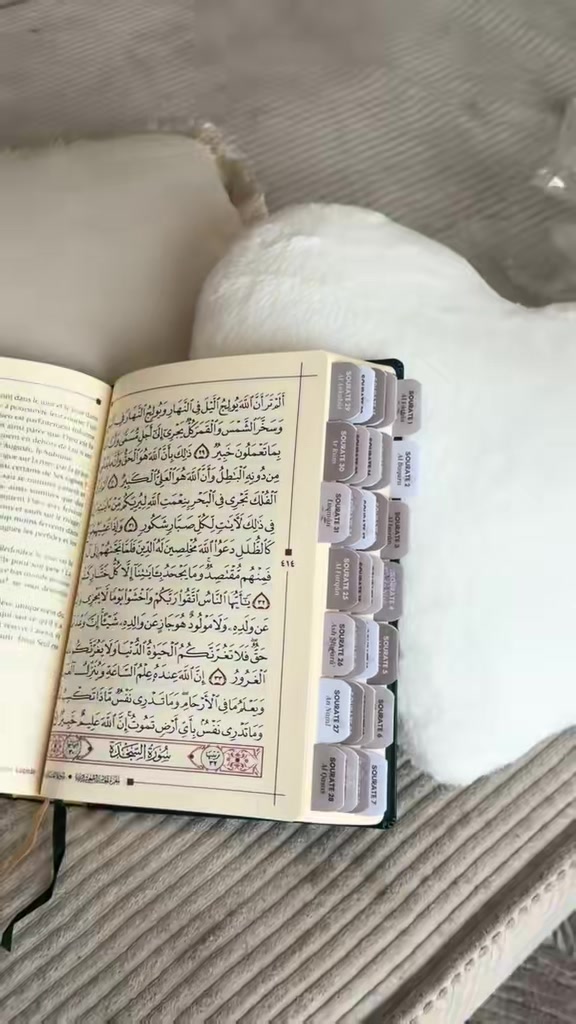 @aalihsann