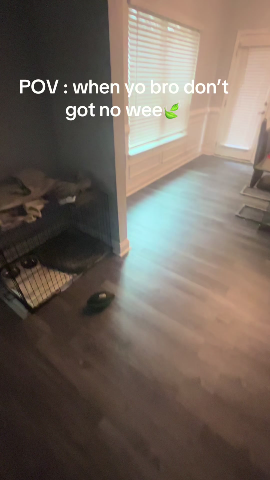 @LilJayyTV