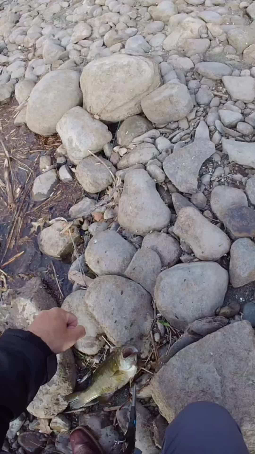 @Creek Seeker Outdoors