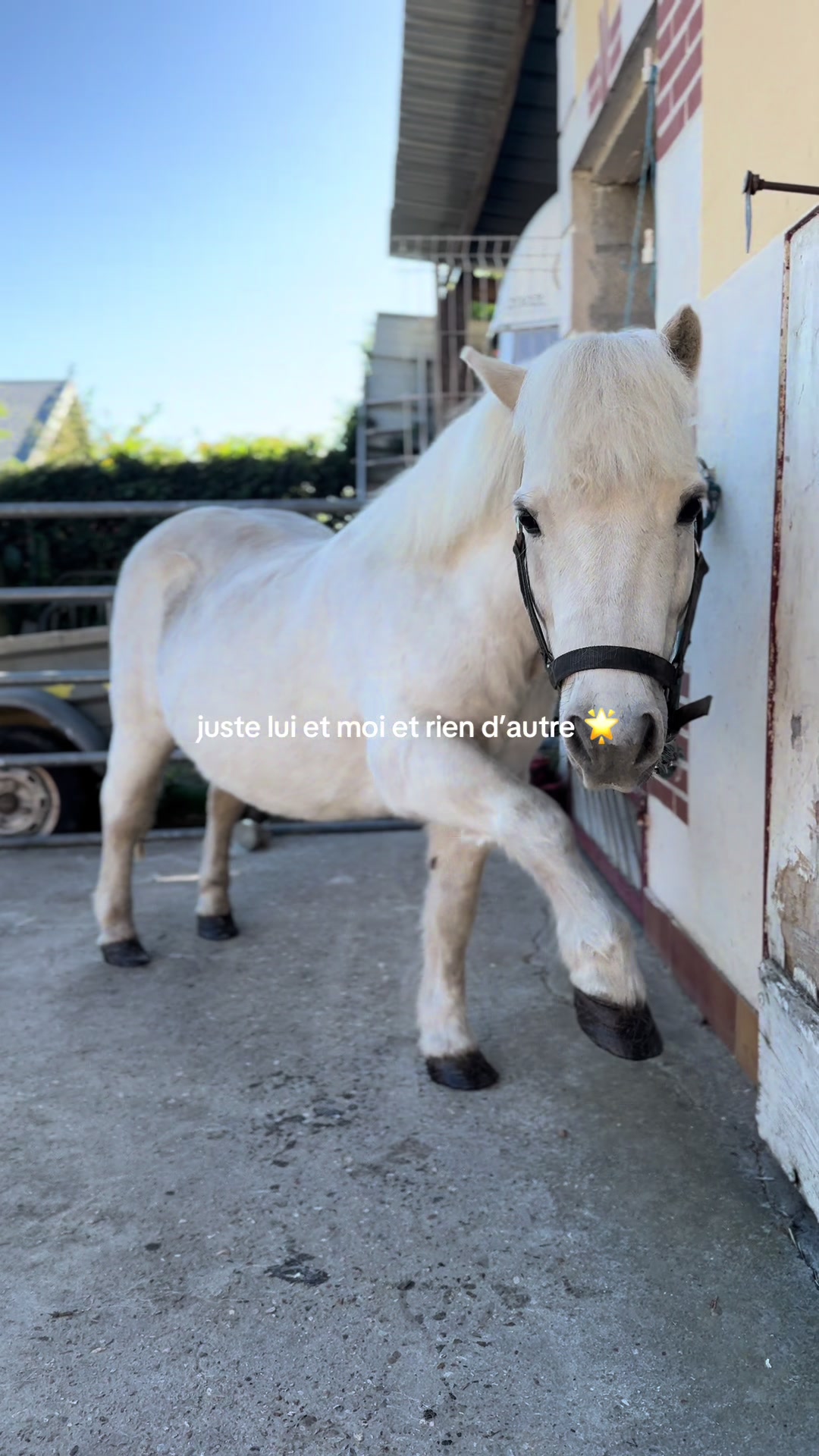 @benjyylepetitponey
