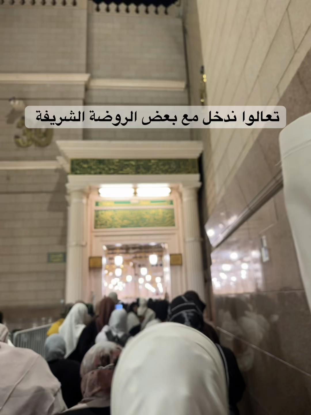 @Ghada Mansour