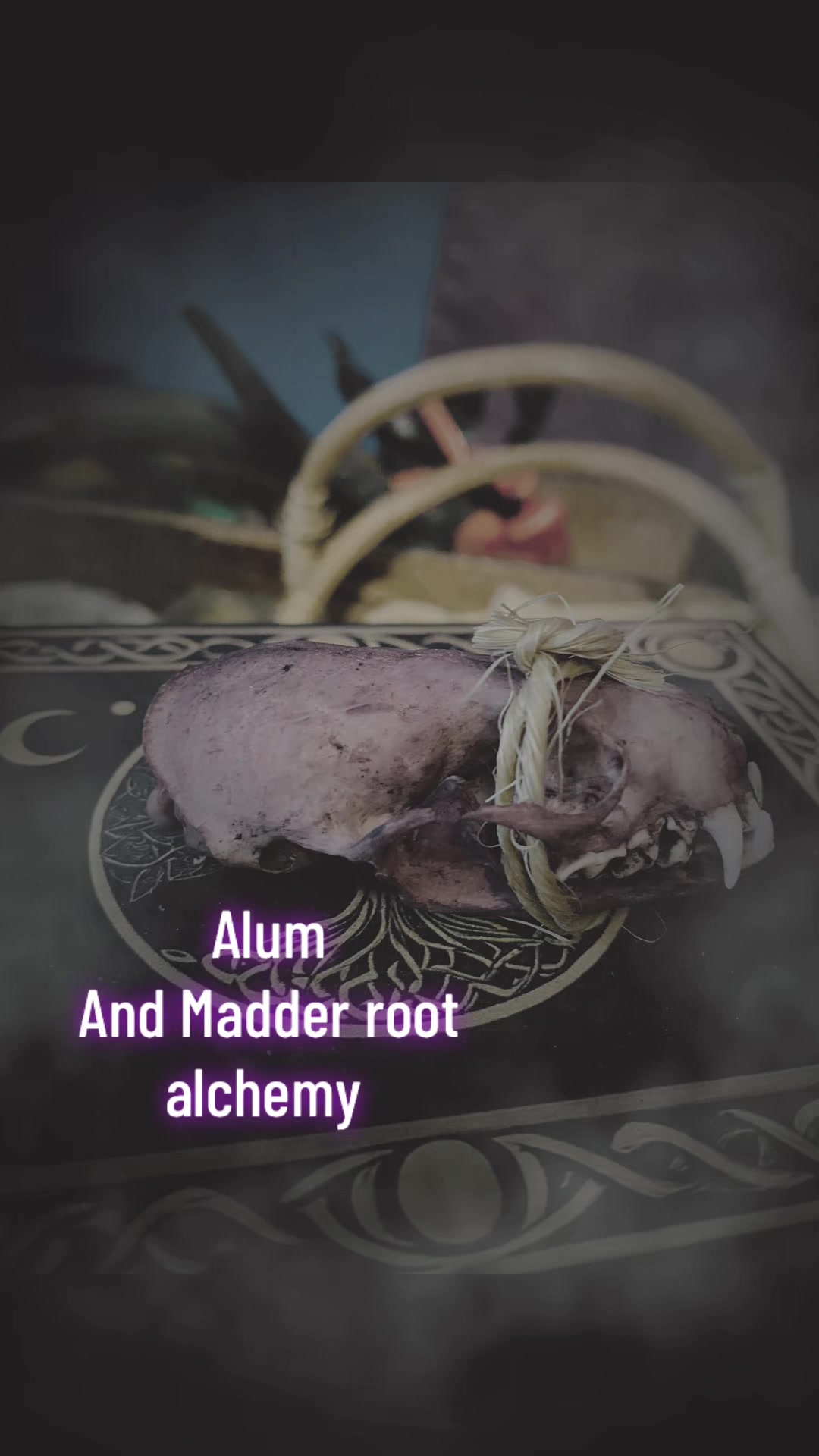 @WitchofWyrd🍁🐦&zwj;⬛
