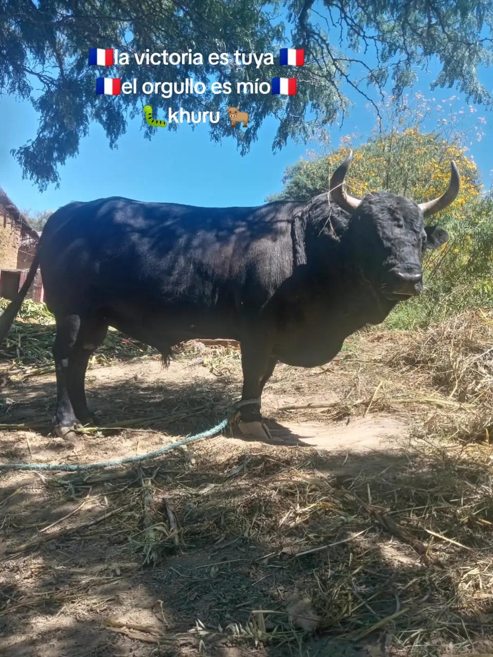 @WILIAM☘️🫥🇫🇷