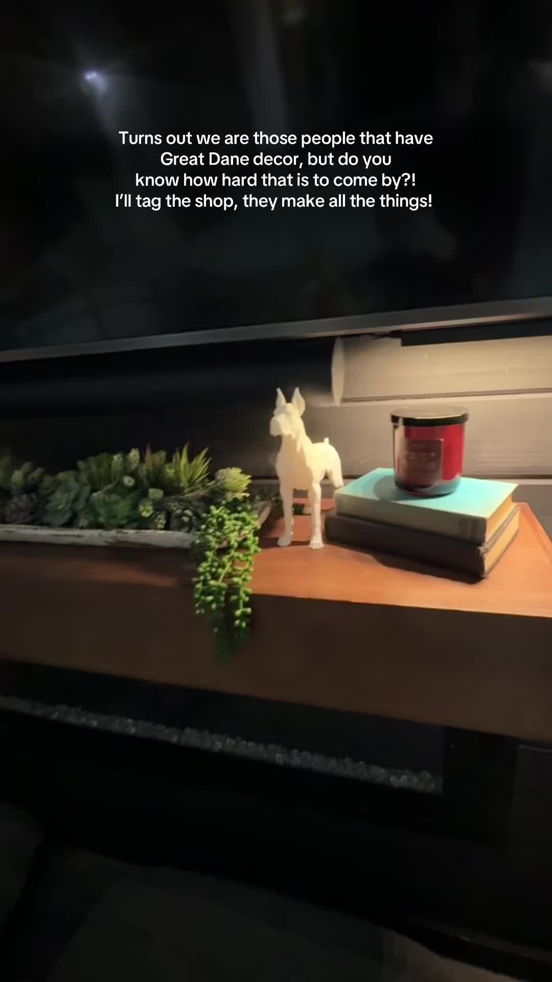 @Along Came Atlas & Aspen 🦕