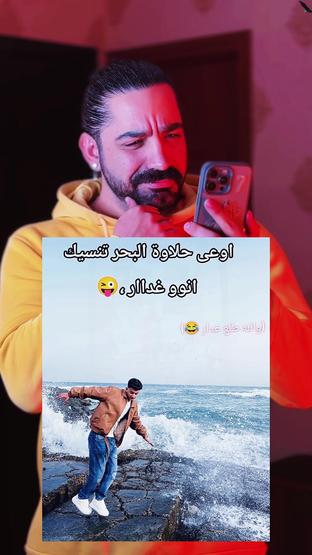 @user9797169677483