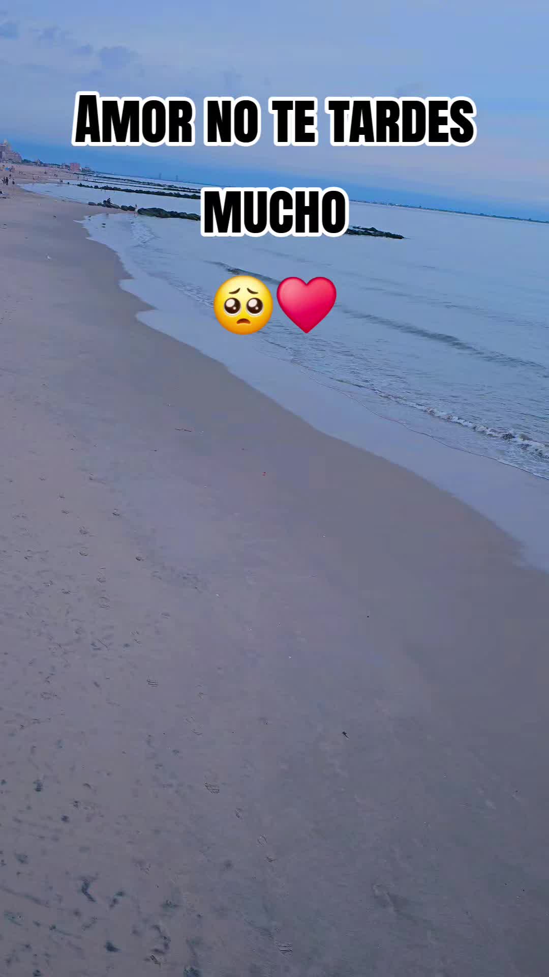 @🎶🎵🎧LUNA🎶🎵🎧