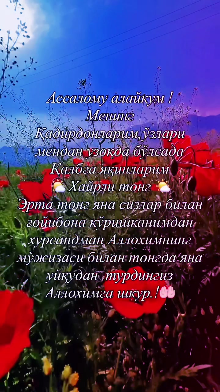 @shahnoza_070
