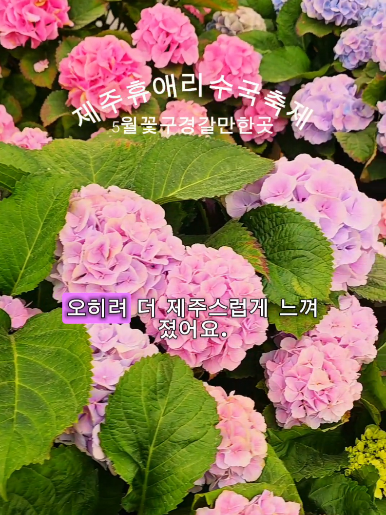 @헤이즐
