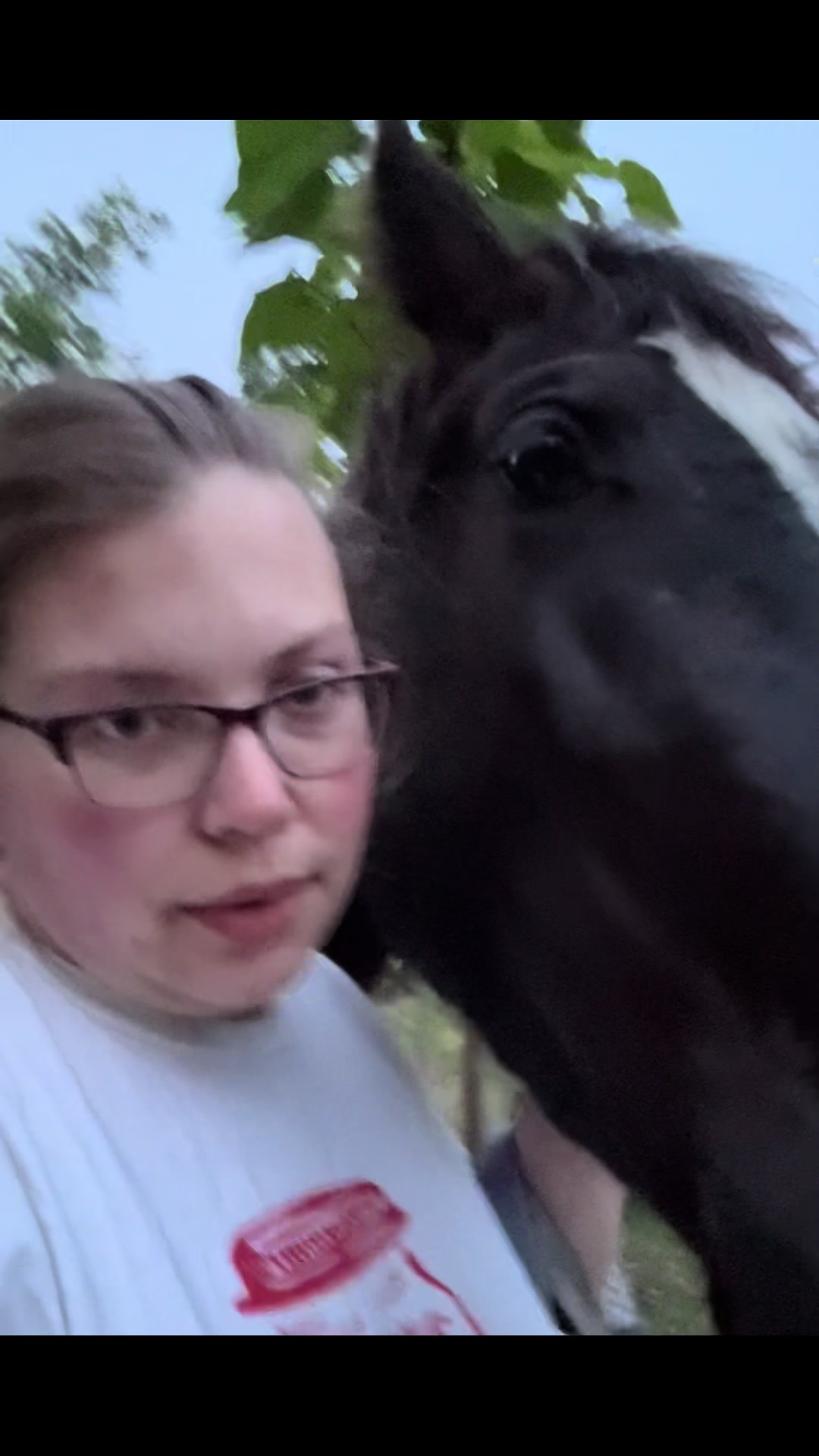 @EightyDollarStables