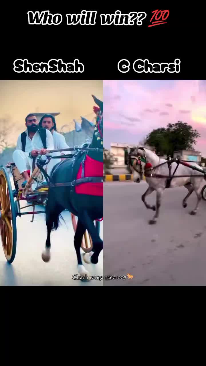 @Chach tanga racer007🐎