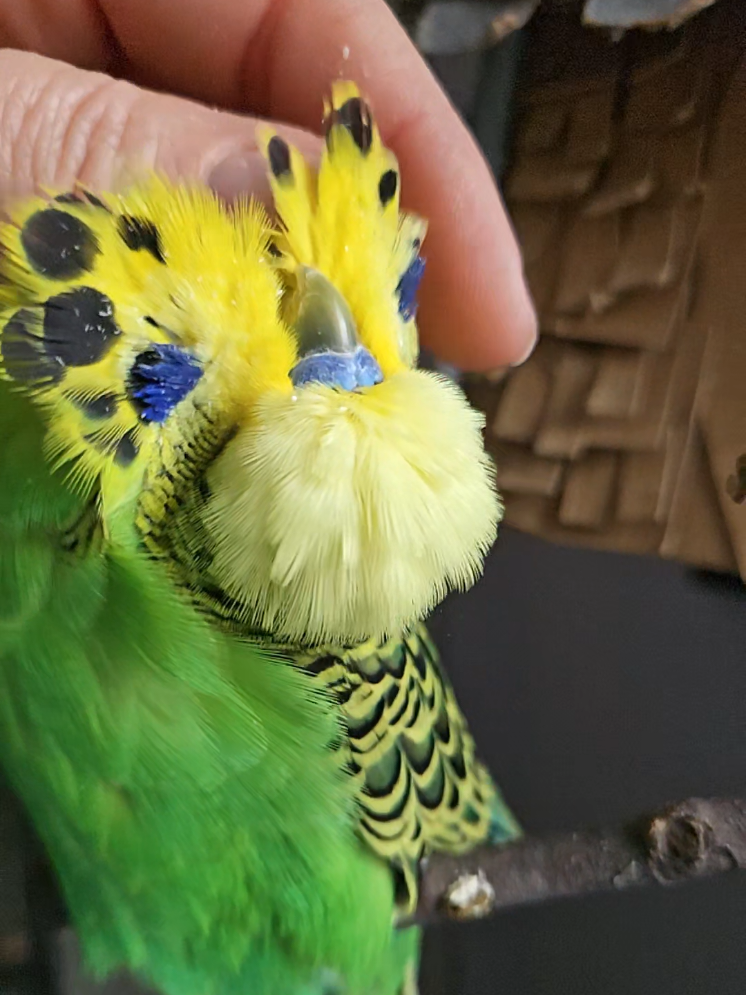 @Run Slow-Mo Charlie🦜