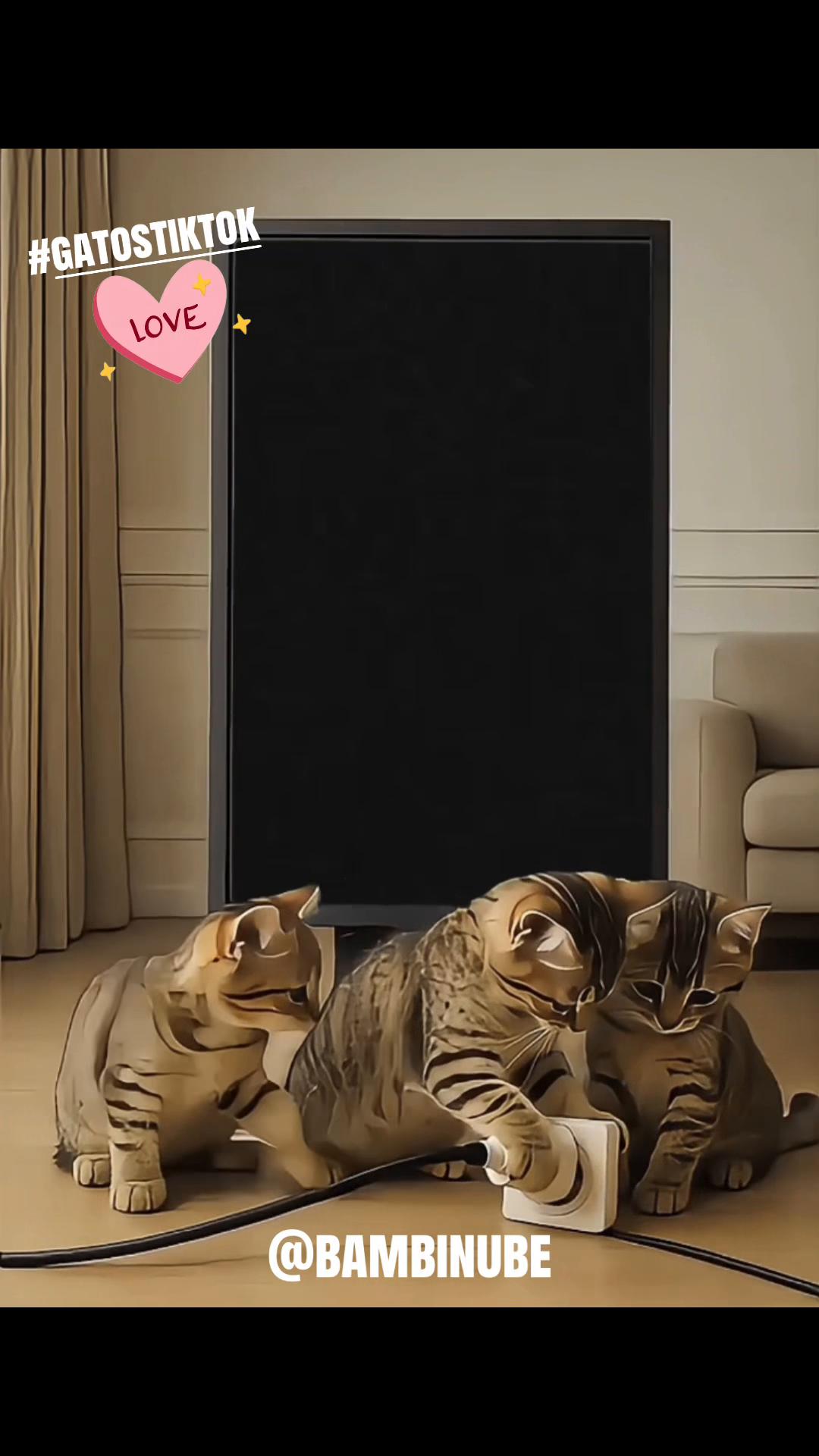 @🐾✨SNELBOY😻😽😸😸😸🐕🐕🧡✨