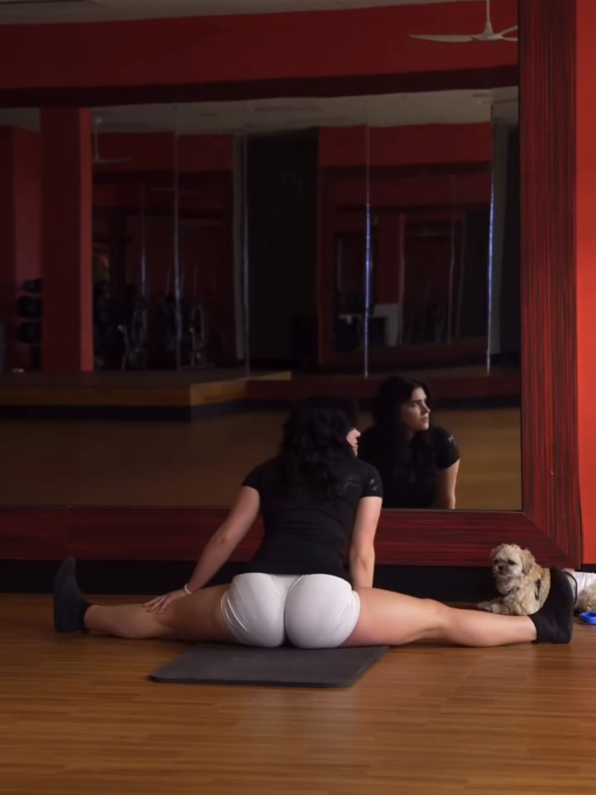 @savliftts_