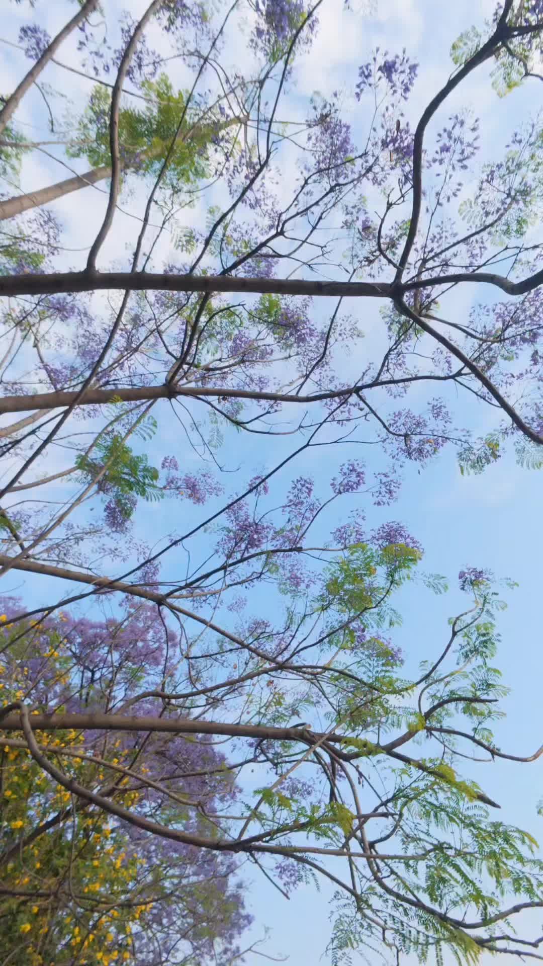 @ɪɴꜰɪɴɪᴛʏ&reg;