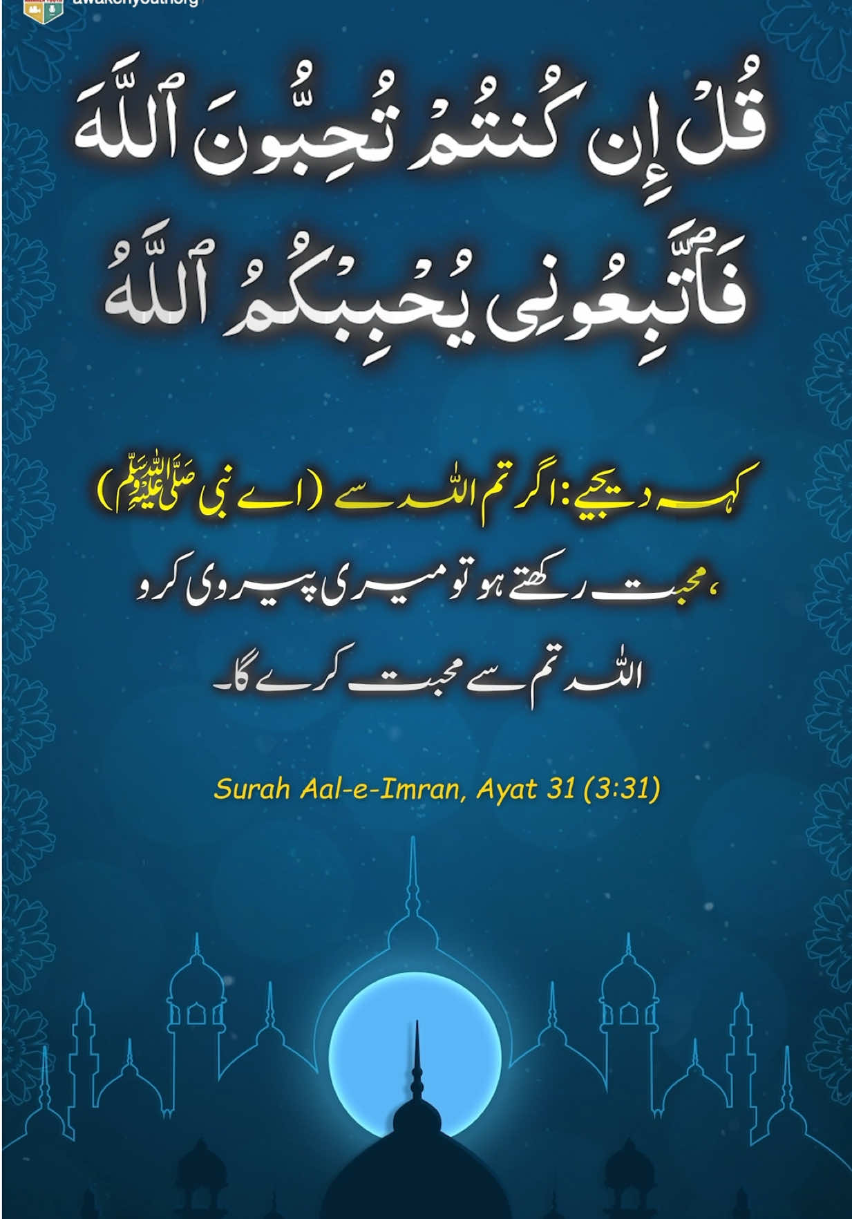 @Muhammad Ameer Hamza