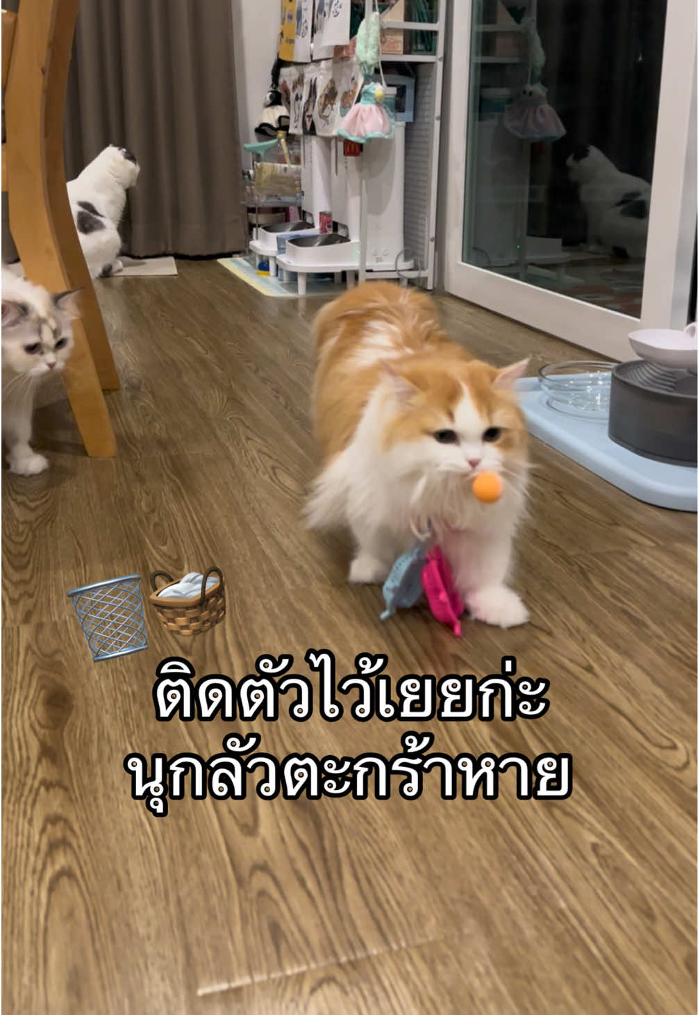 @เยอร์เก้นอยากเป็นดารา