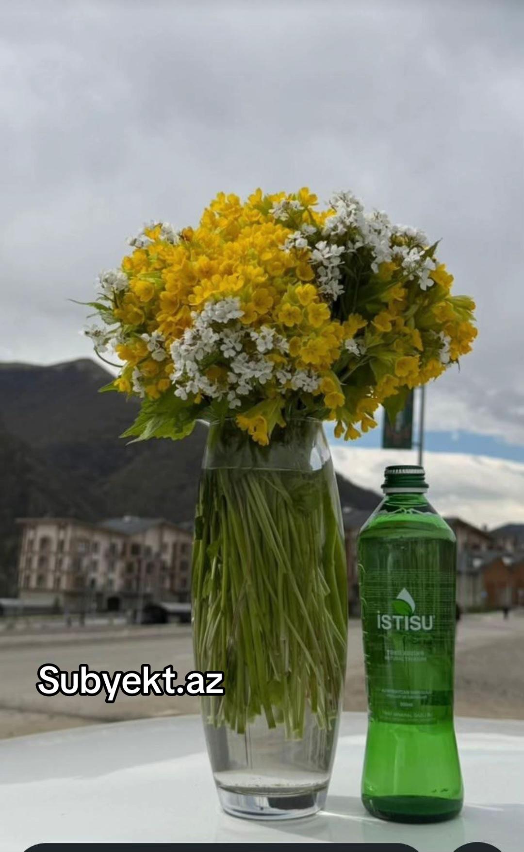 @R&ouml;vşən H&uuml;seynov