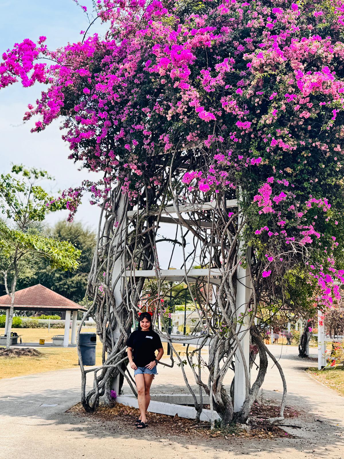 @🇵🇭제니 먹사카이🇸🇬🇲🇾🇰🇷