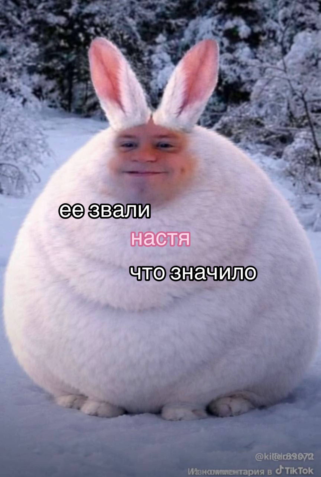 @настя