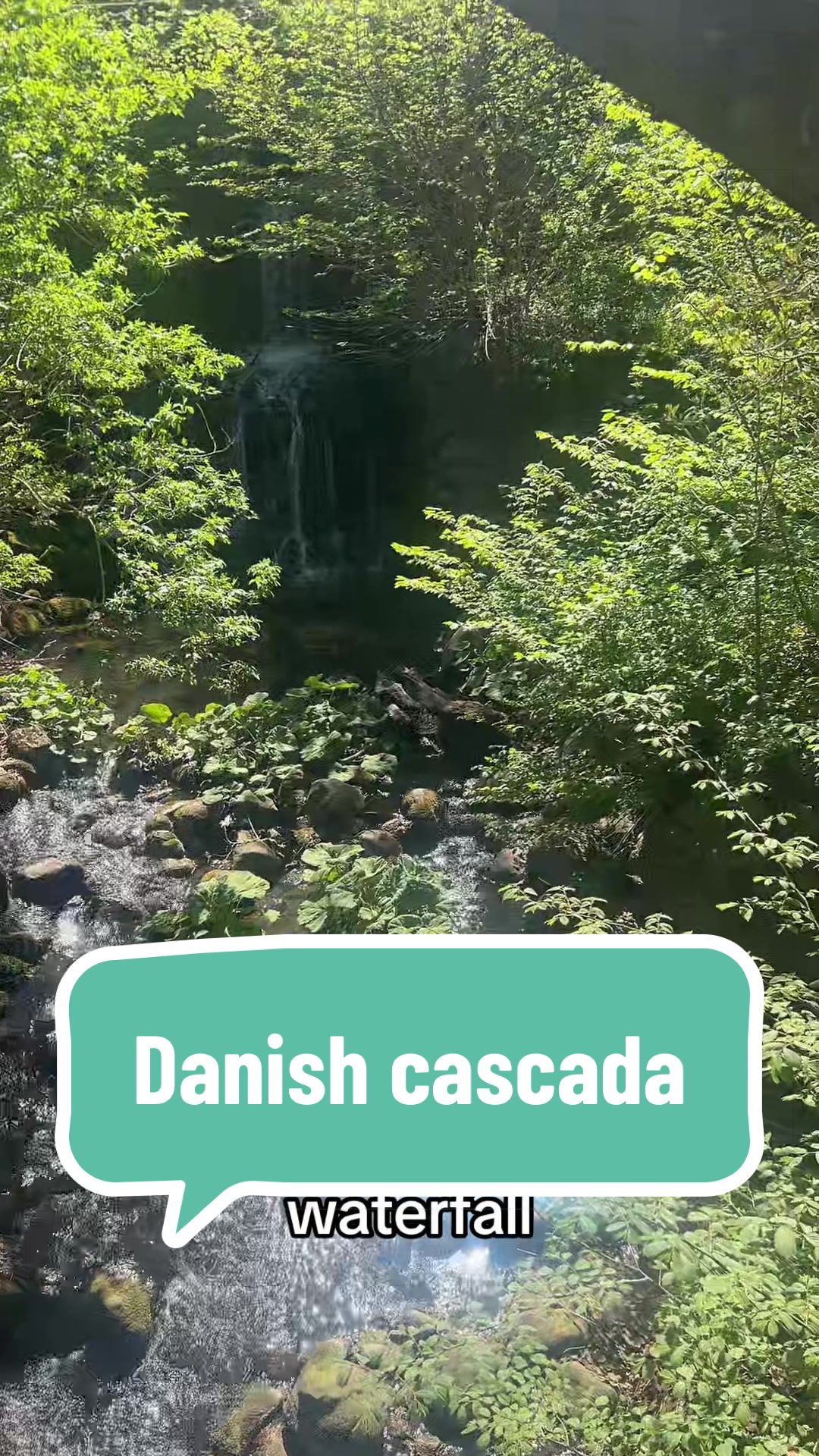 @Laura 🇩🇰