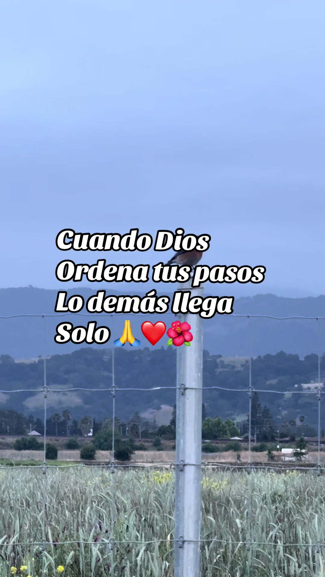 @❤️sanando el alma❤️