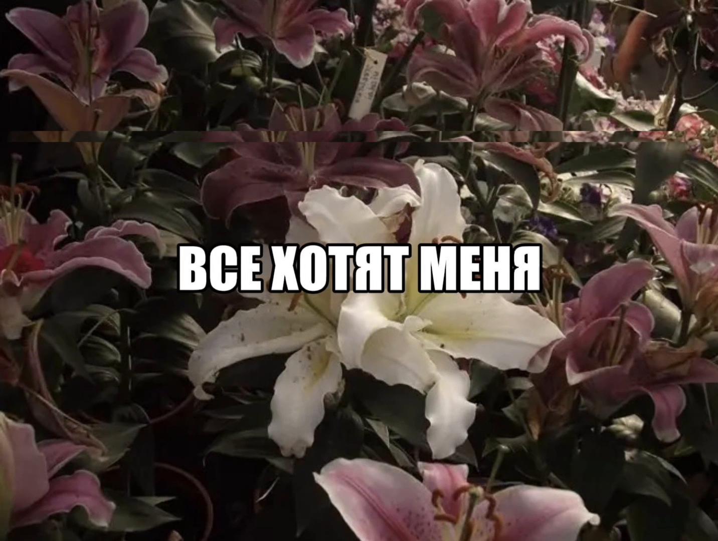 @🤍