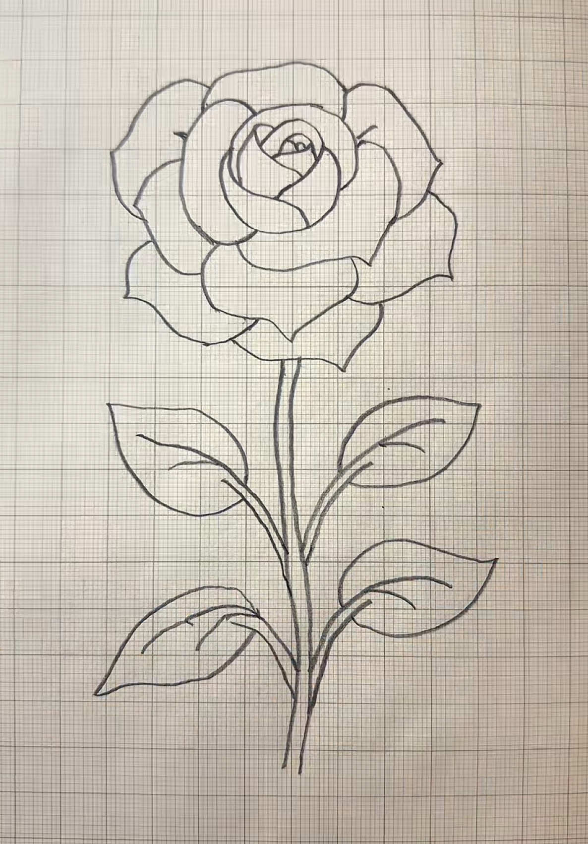 @Osman Daşman
