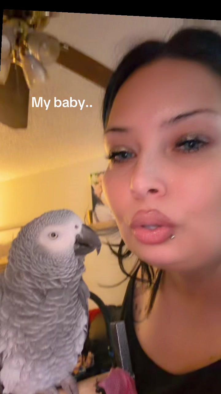 @Tina 🇦🇲