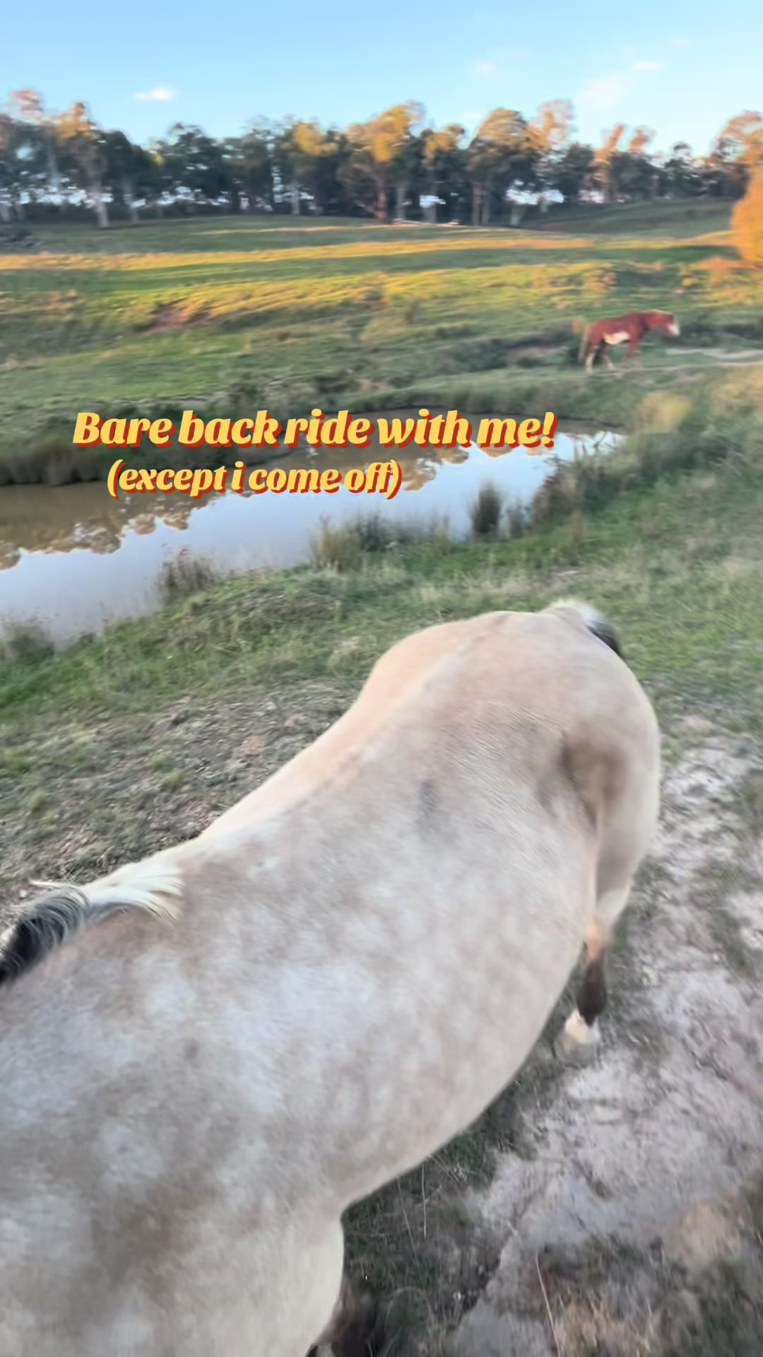 @ariat.the.buckskin