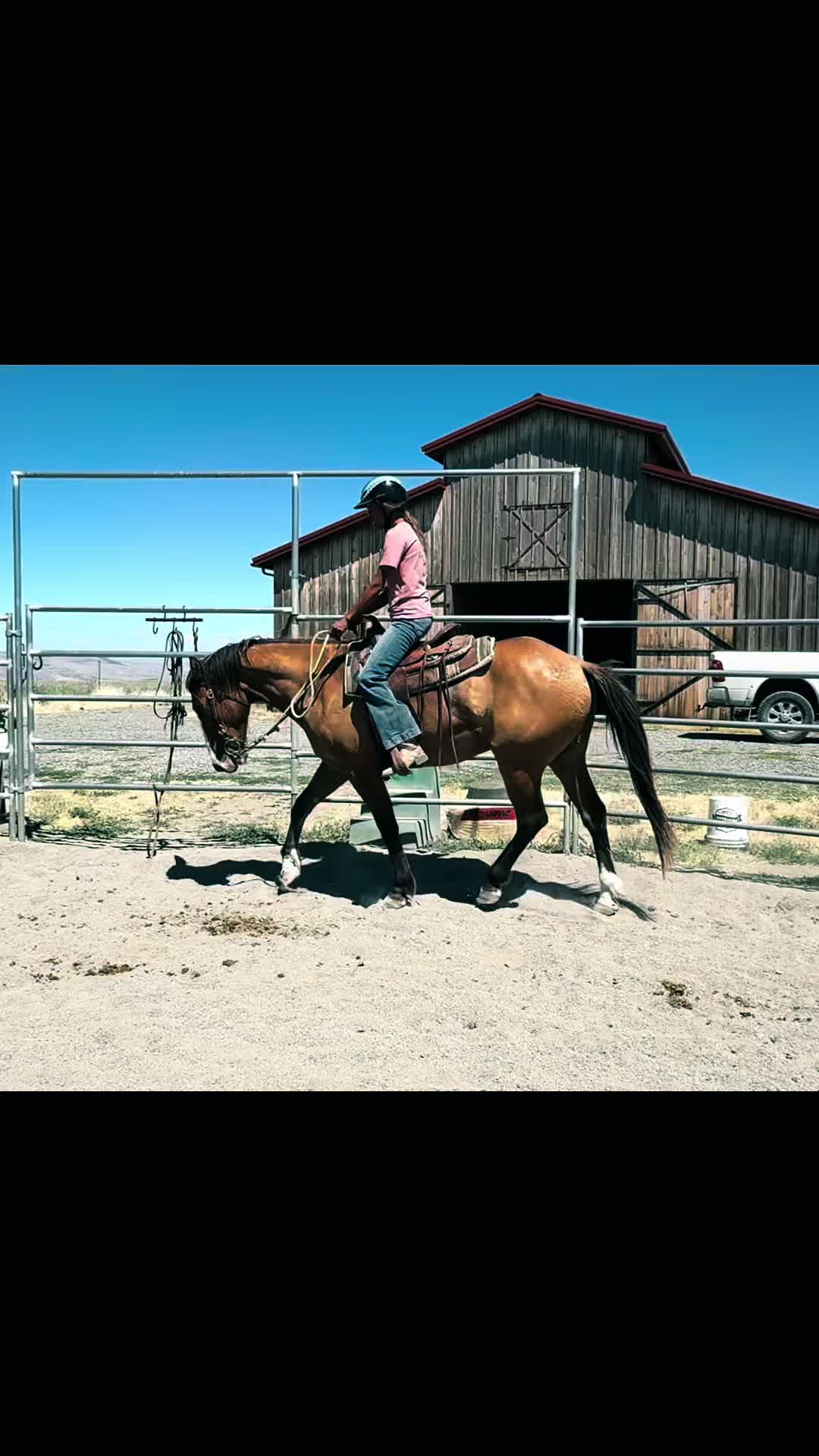 @Cowgirl Tuff Colt Training ❤️