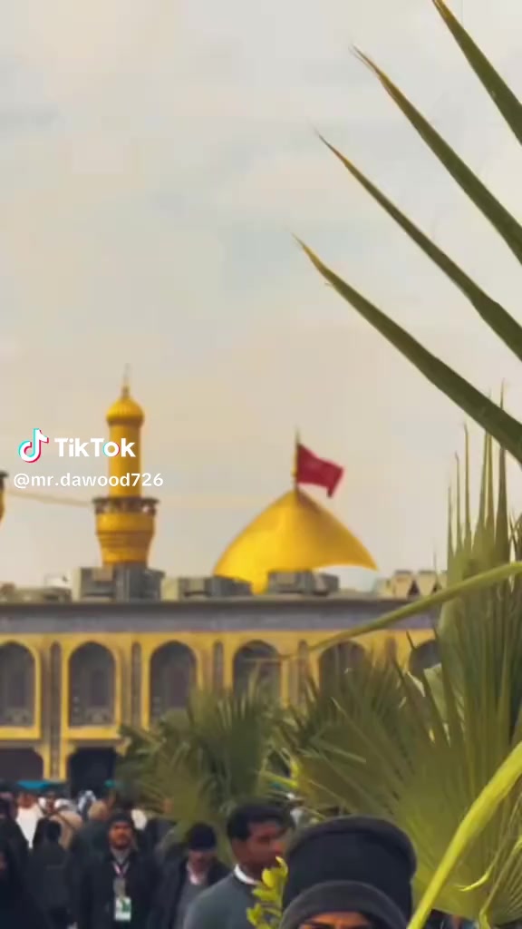 @💔💔zainab ❤️🩹💔❤️🩹❤️🩹🥹