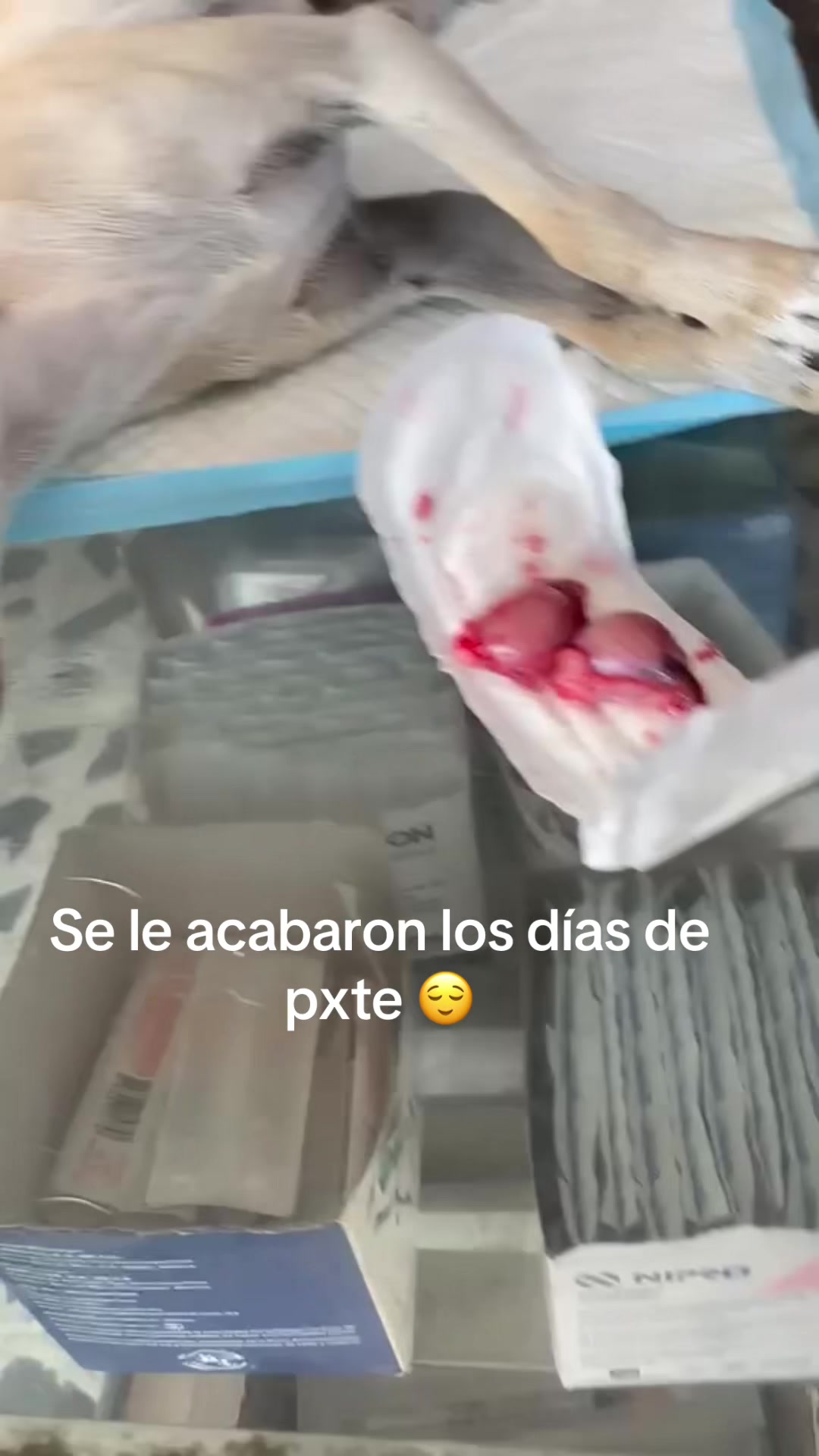 @Blanca Chavez