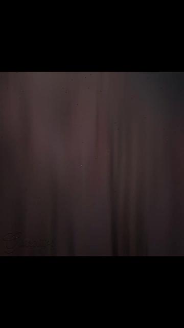 @𝓌𝓁𝓌