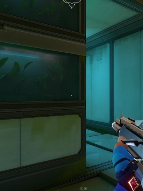 @Flexiblefps