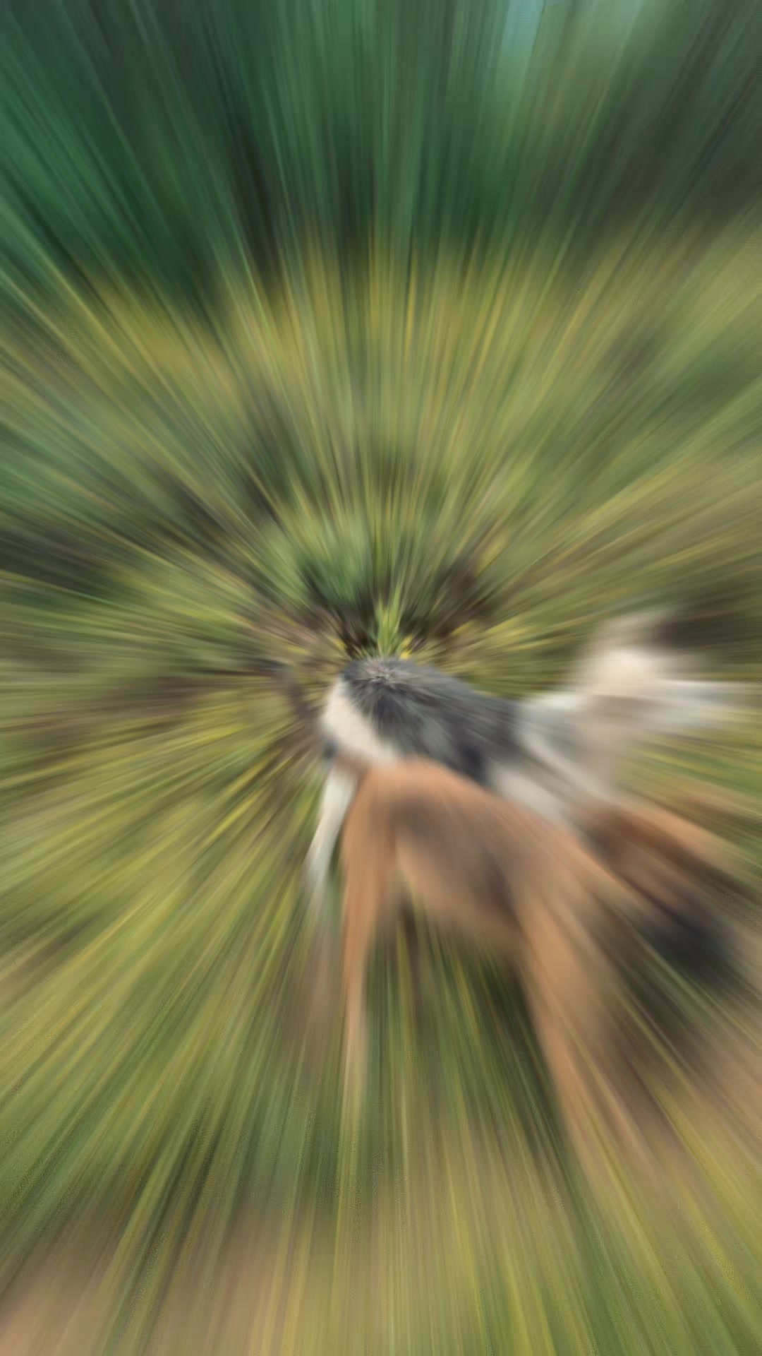 @Johana Colin