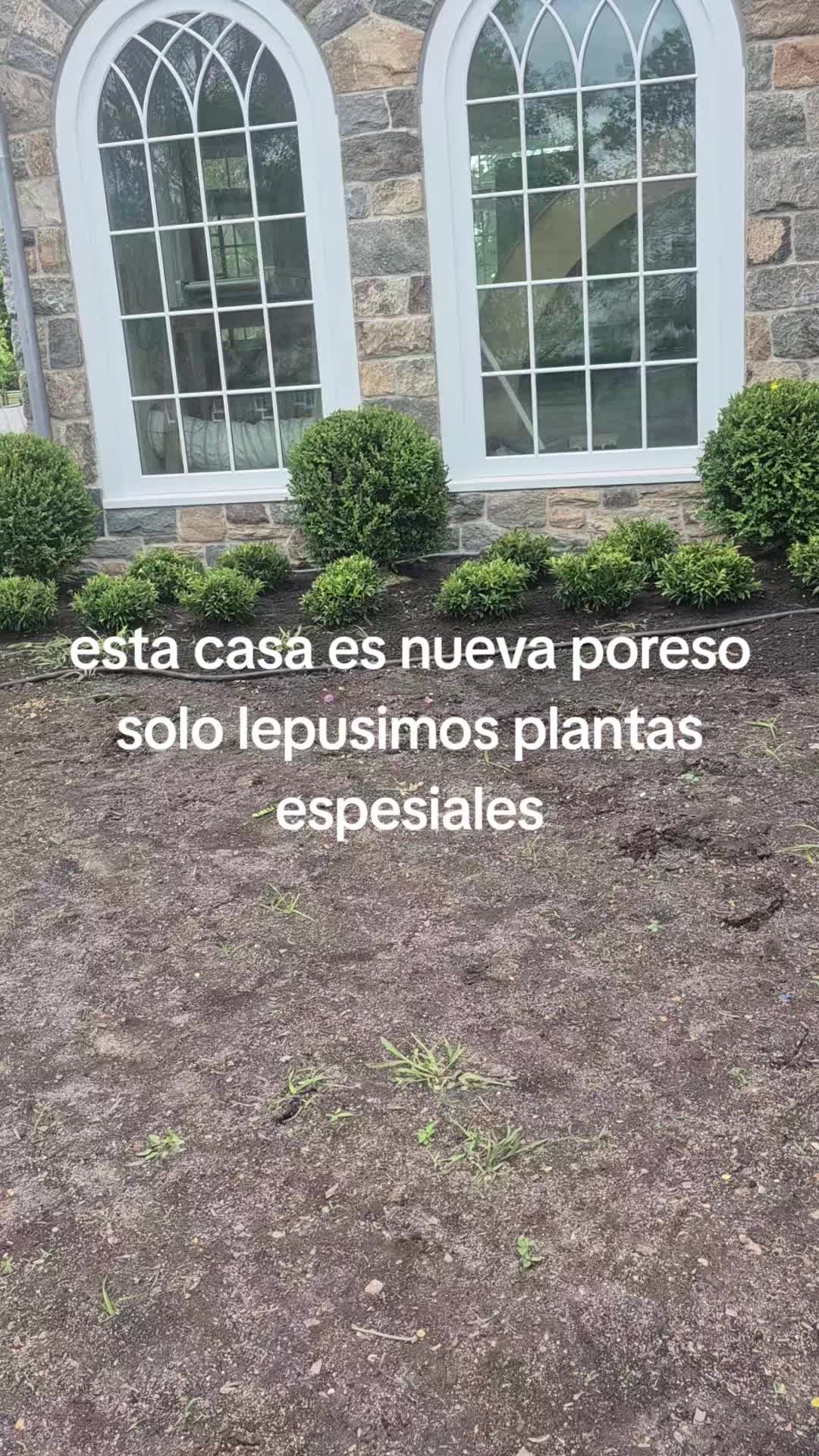 @hernan navarete