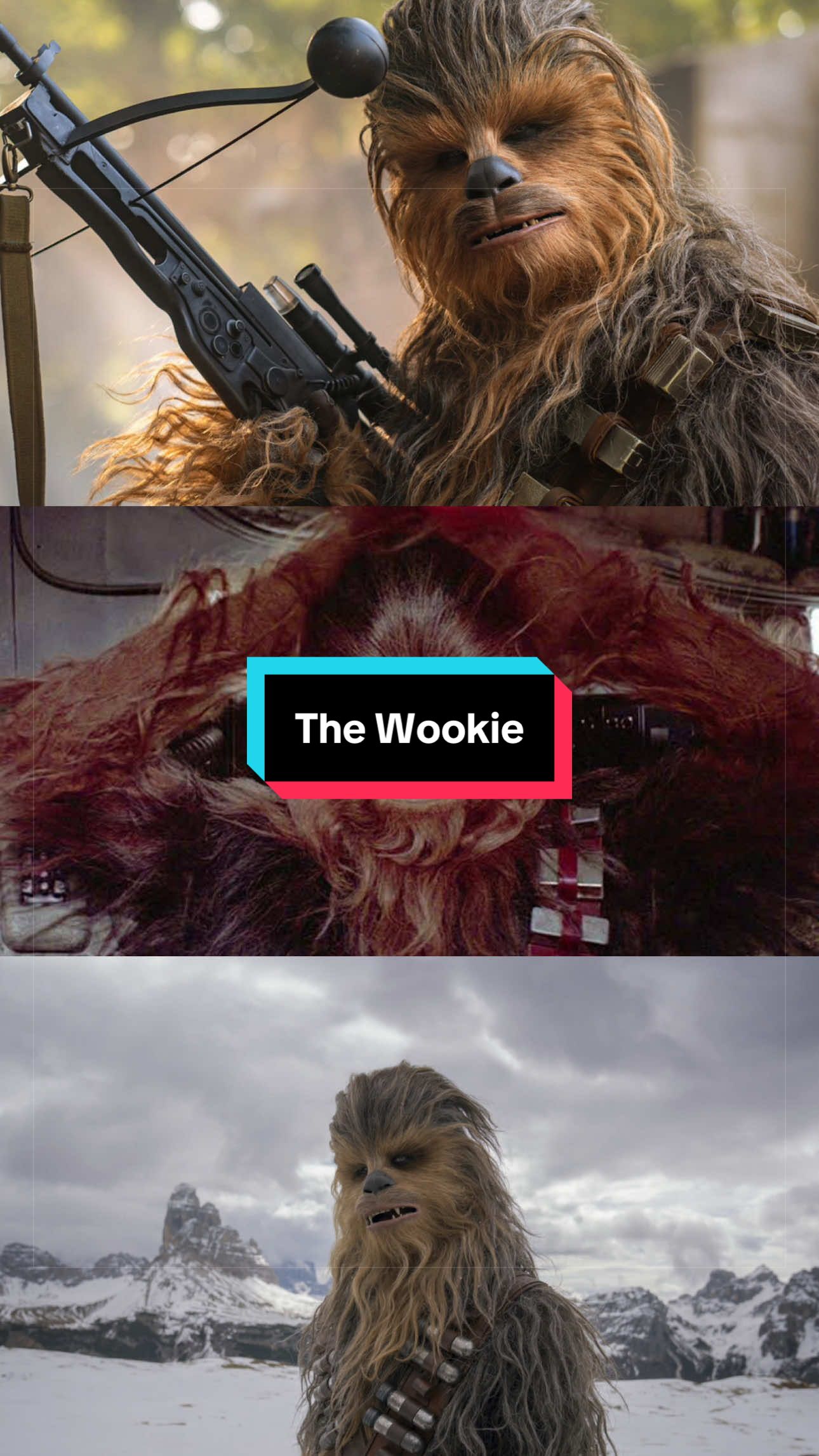 @Jude the Hutt