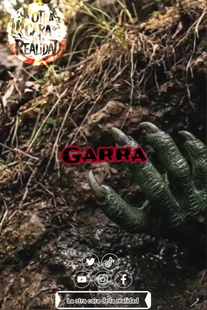 @La otra cara de la realidad