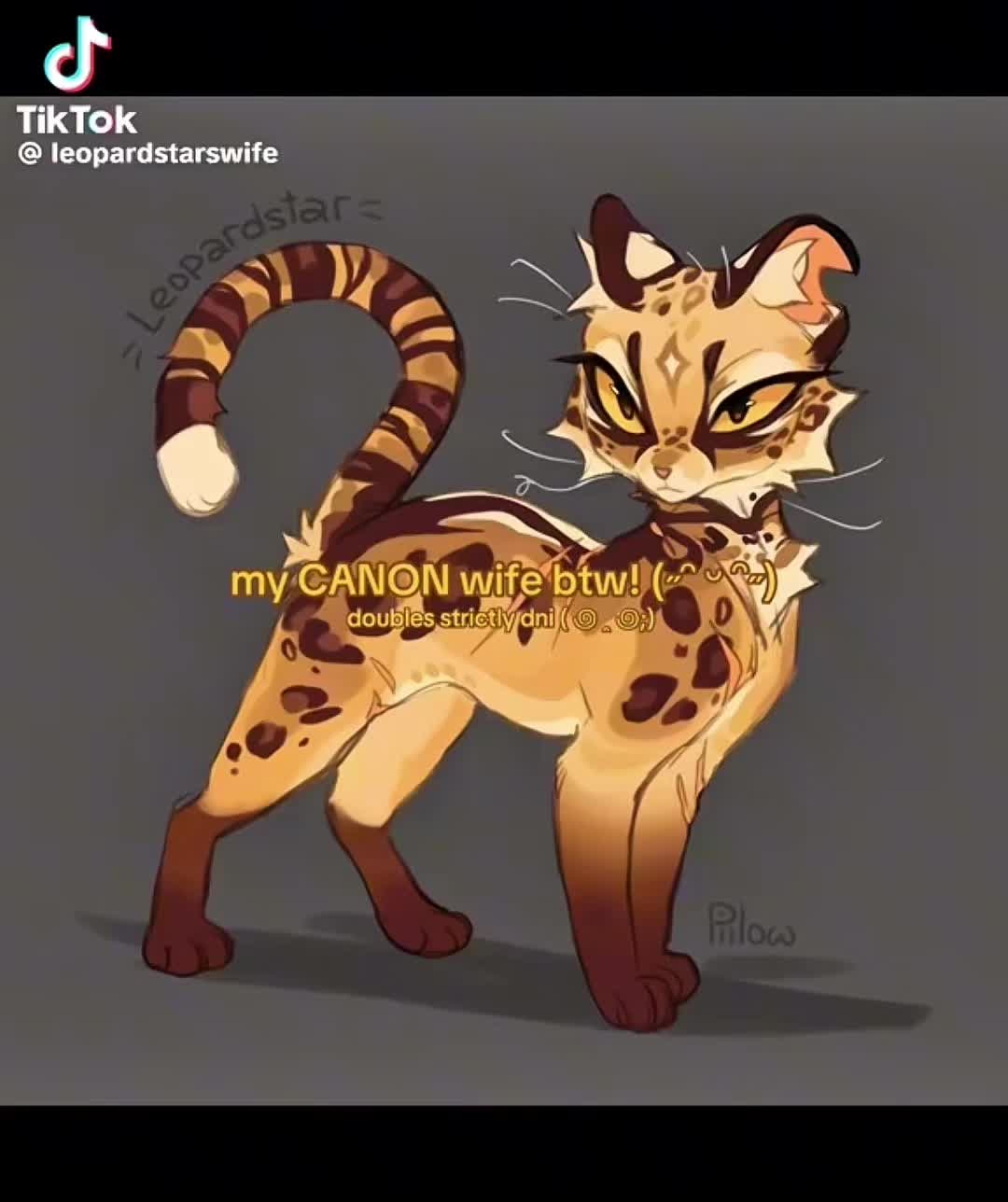 @ᴛᴇʀɪʏᴀᴋɪ