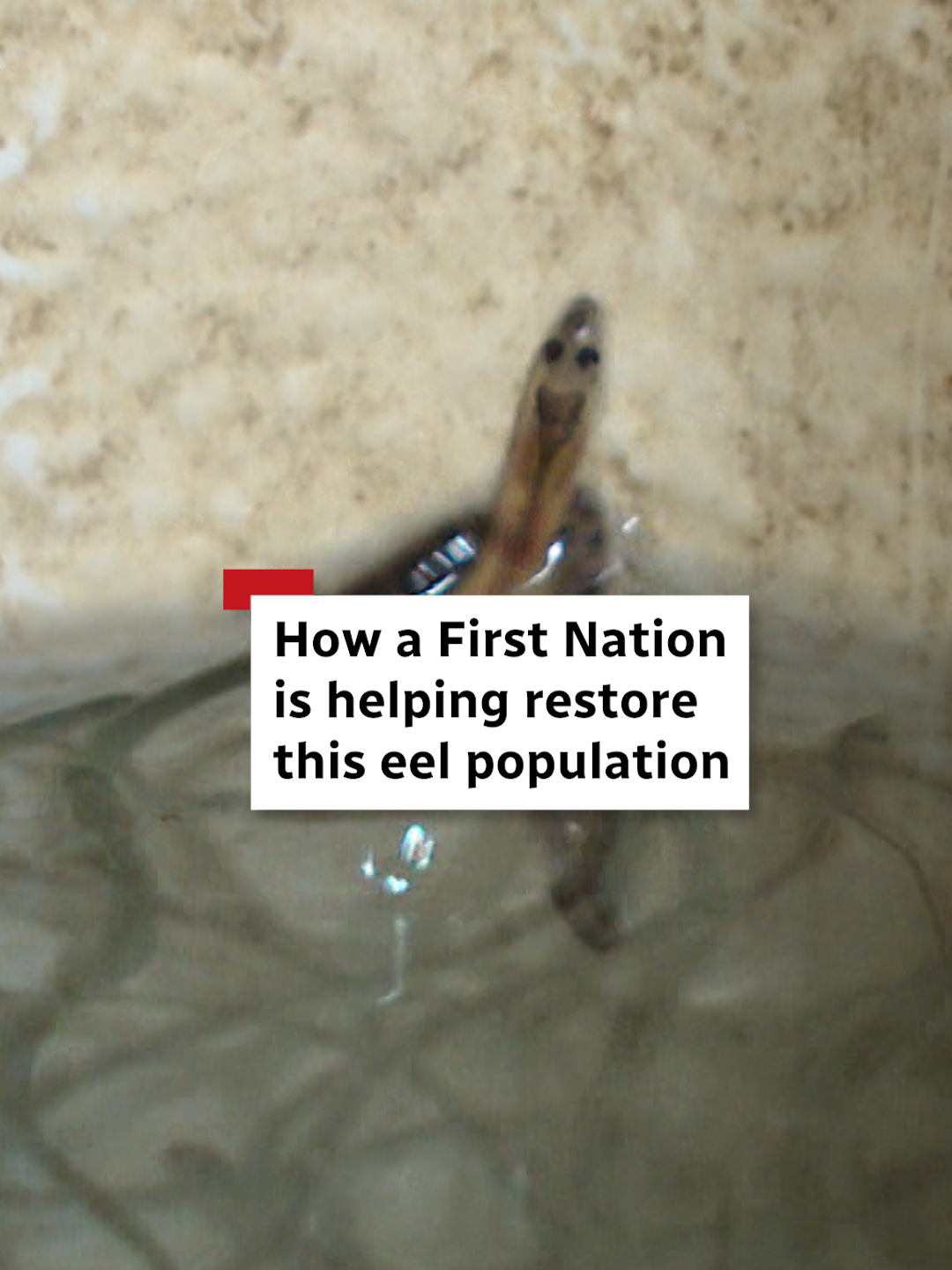 @CBC Nova Scotia