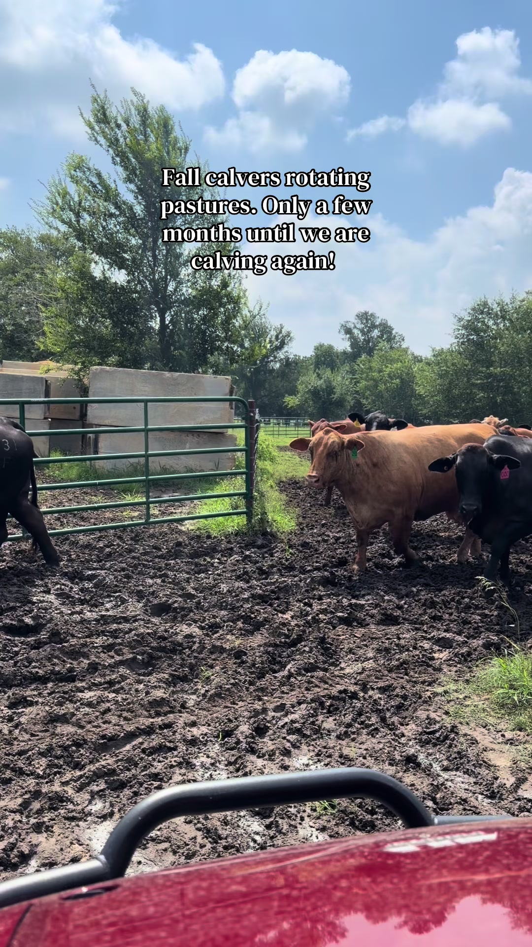 @Greenwood Stock Farms