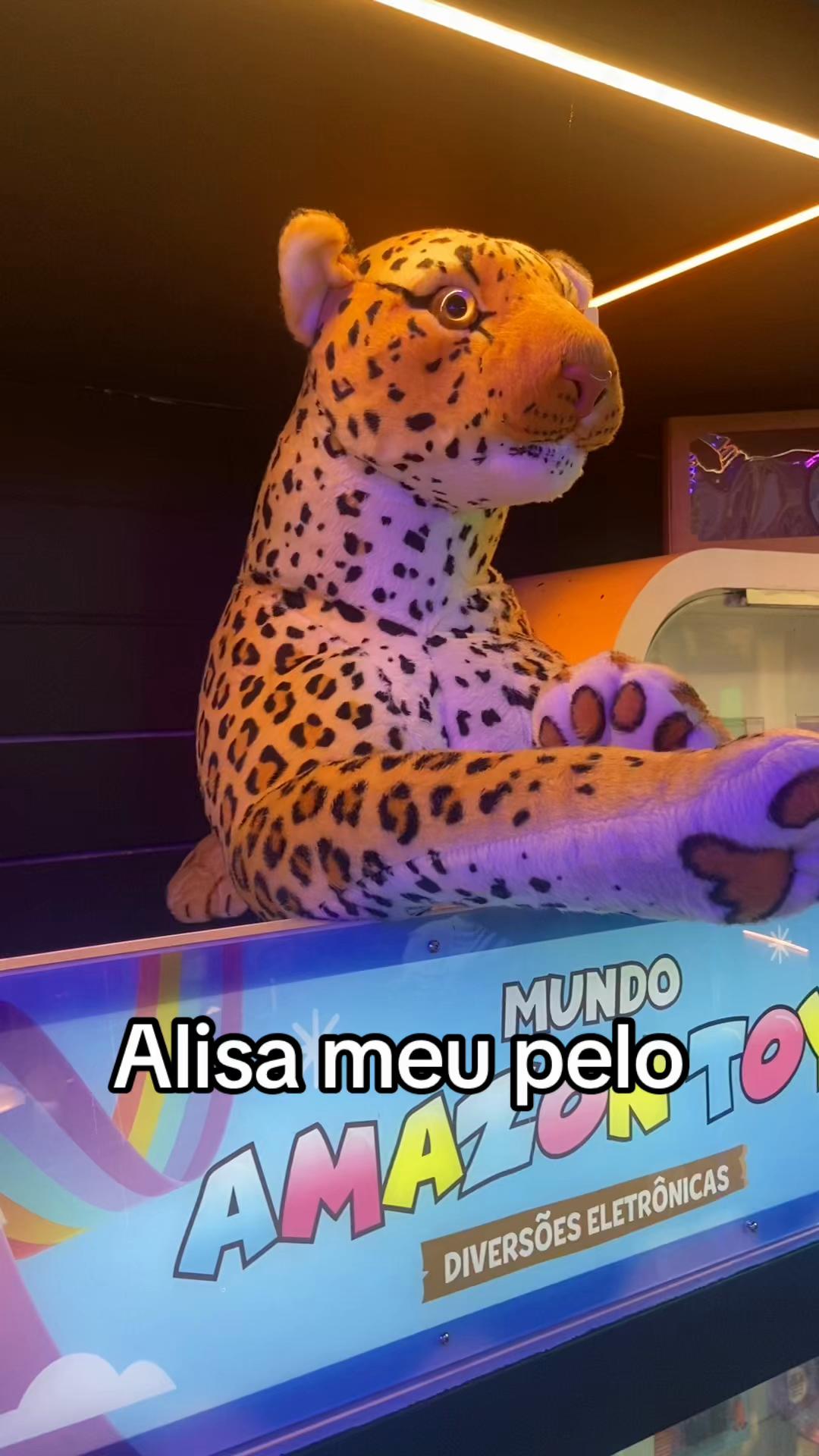 @Anderson Wanzeler