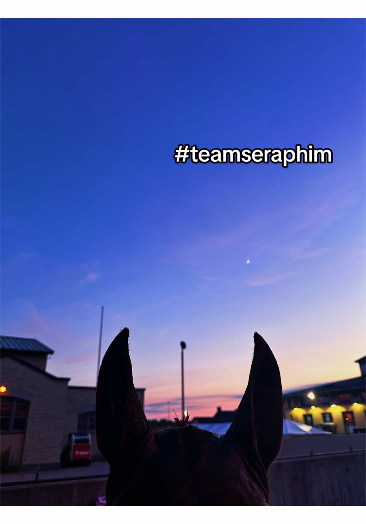 @Seraphim&ensp;Stables