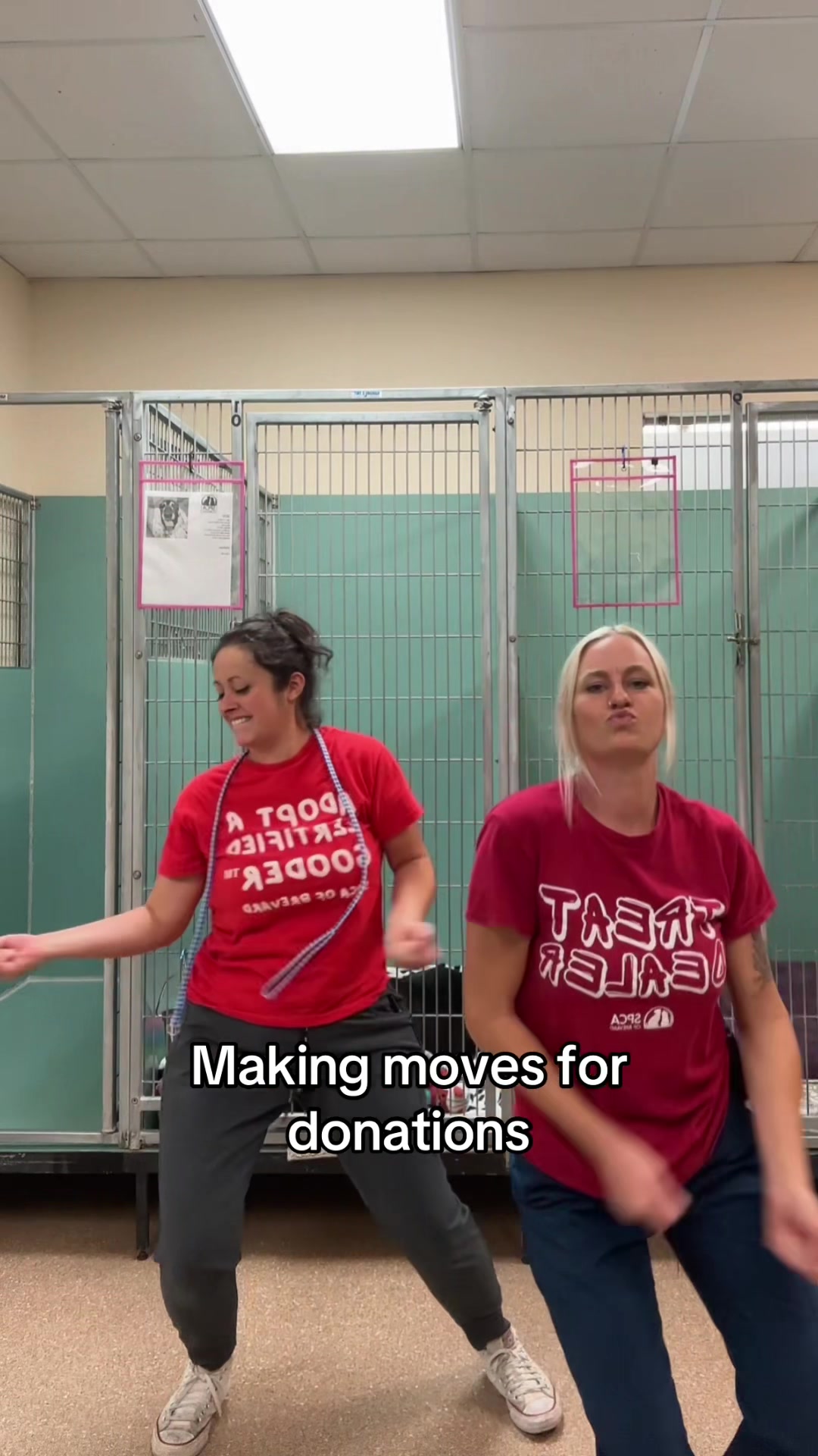@2vettechs