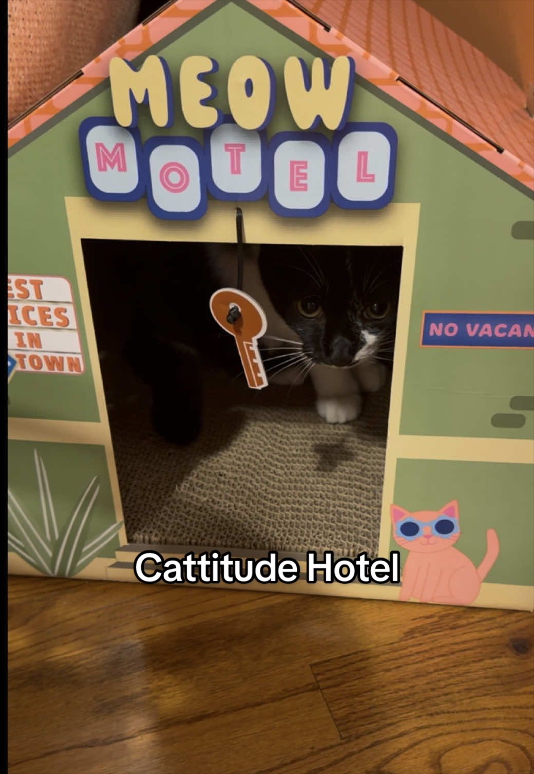 @KittKat❌🐾