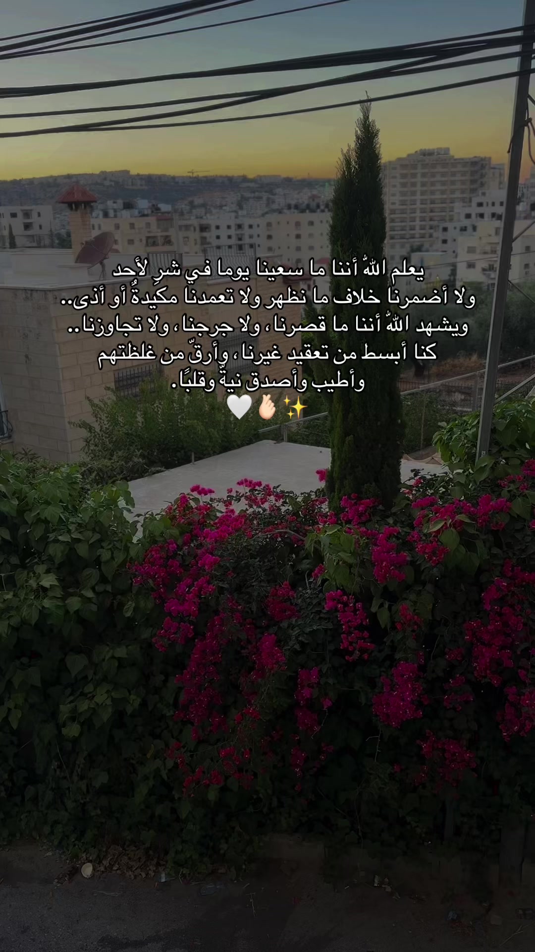 @Rawan 🦋