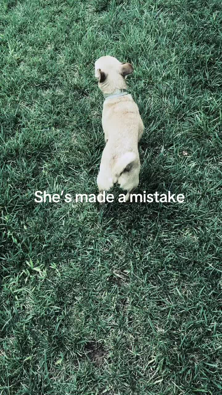 @IzzyRizzy💚💙